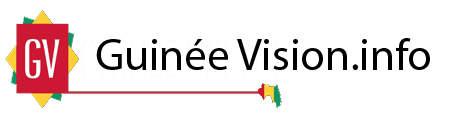 GUINEEVISION